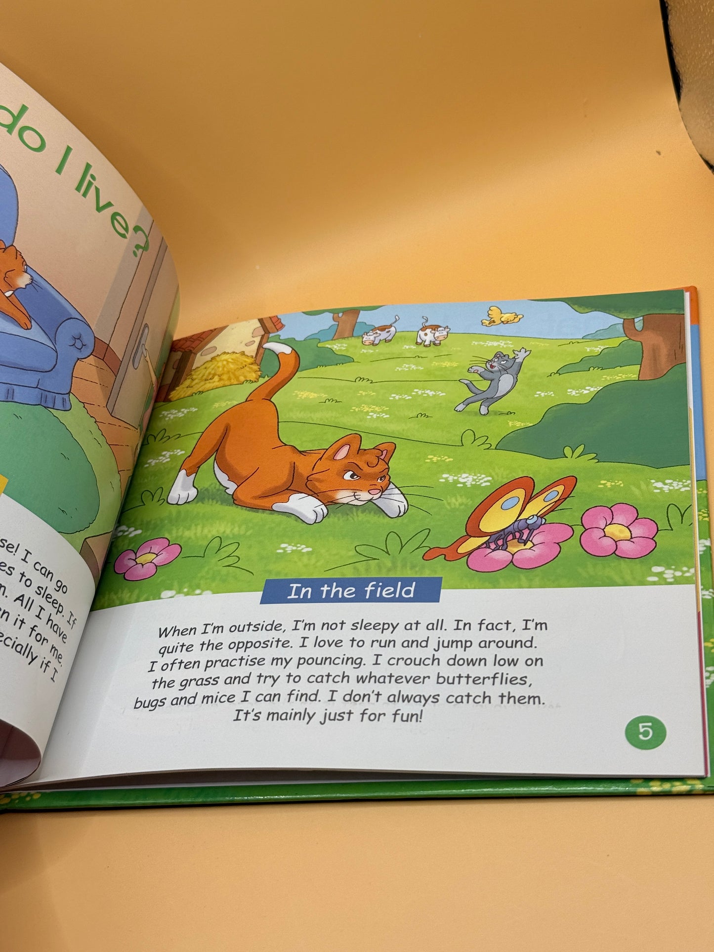 Cats – Animals on the Farm by Mari C. Schuh