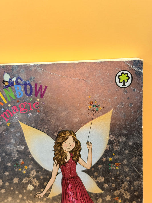 Rainbow Magic: Robyn the Christmas Party Fairy by Daisy Meadows