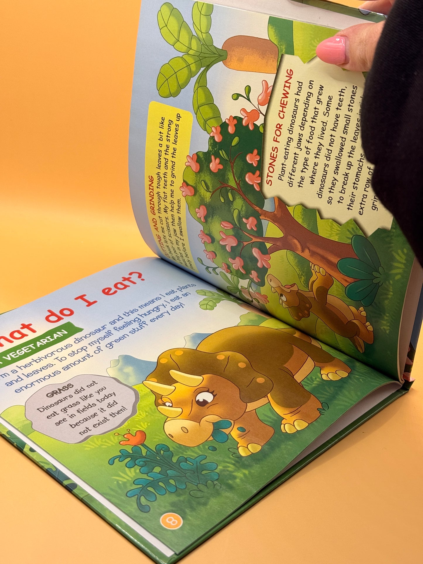 Triceratops – Herbivorous Dinosaurs by Various Contributors