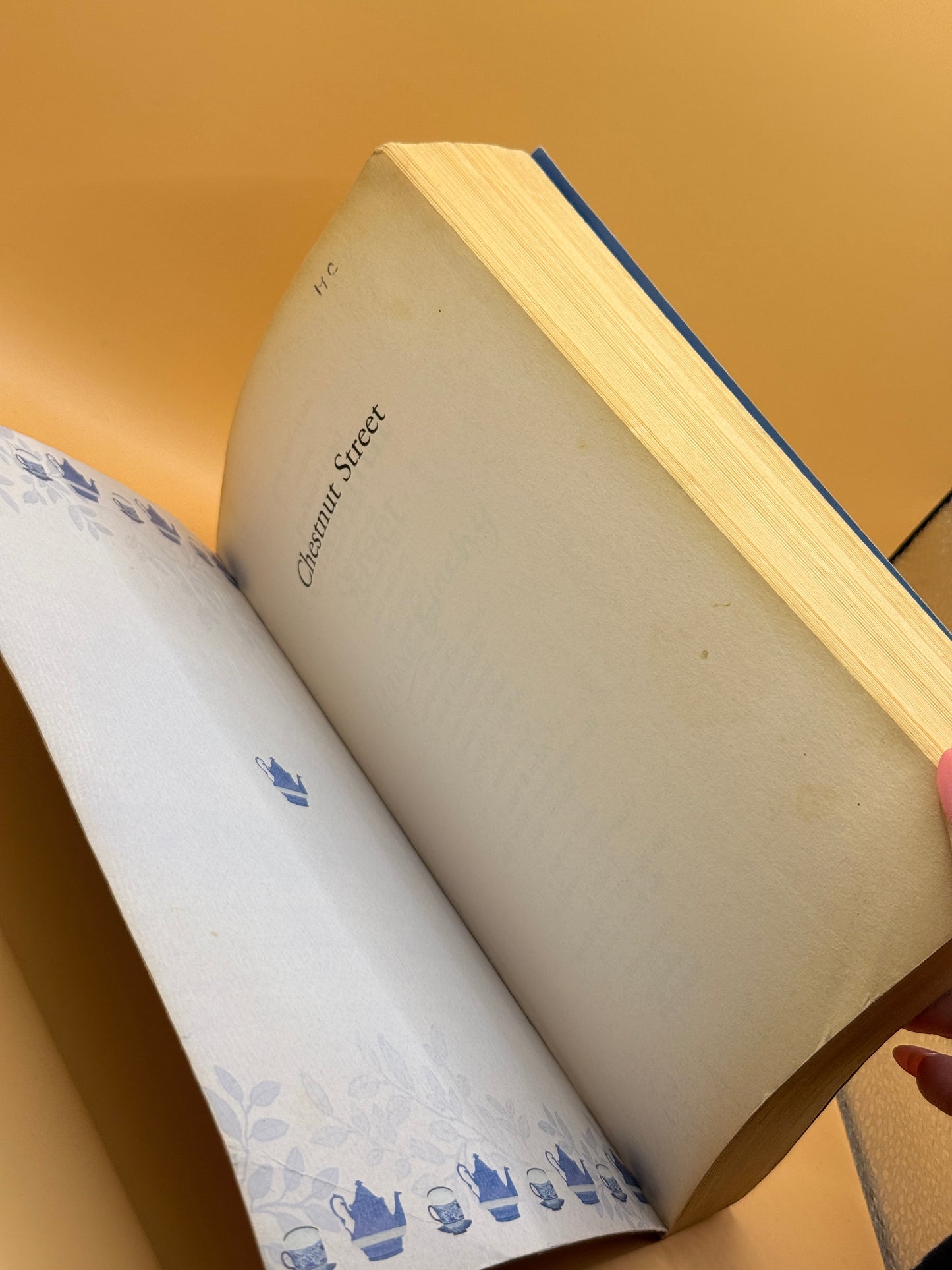 Chestnut Street by Maeve Binchy