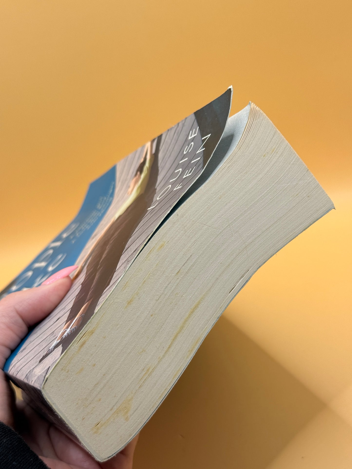 People Like Us by Louise Fein