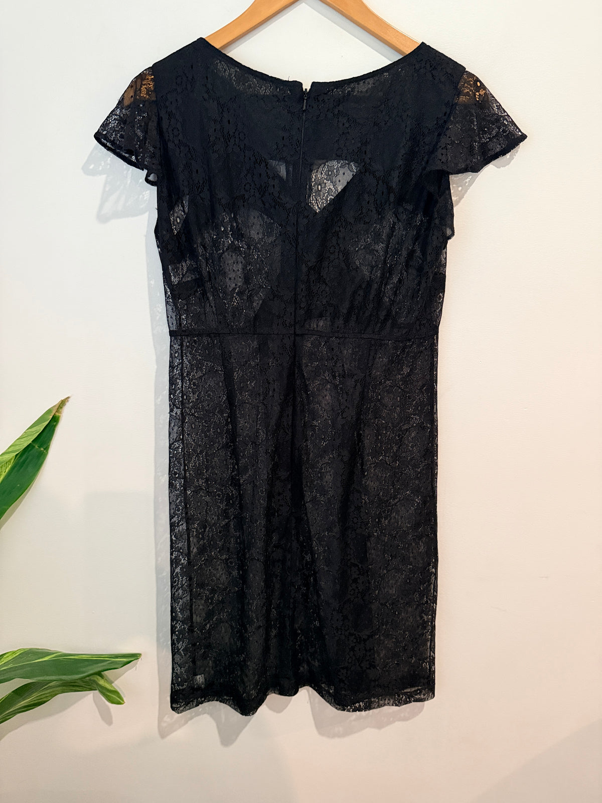 Wallis (NZ Made) Stretch Lace Dress Size 16 | U/Arm to U/Arm 42cm