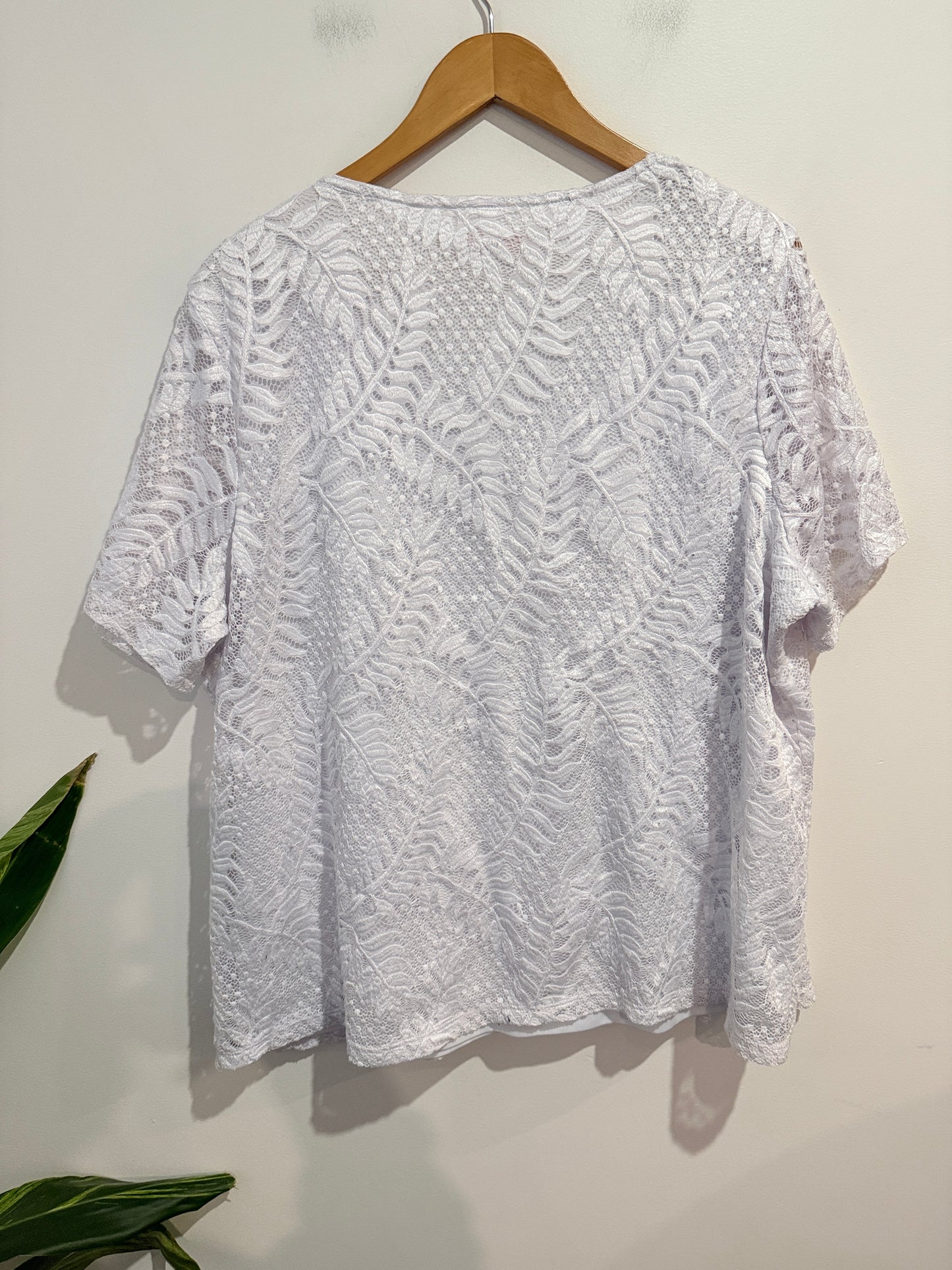Millers Lace Top - Size 22