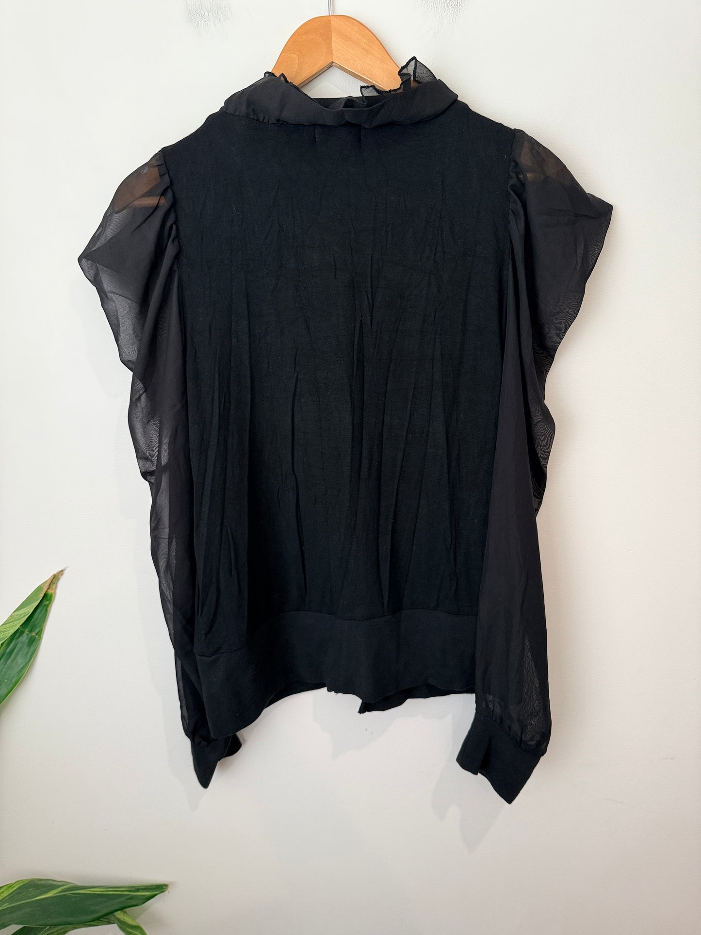 Ketz-ke Semi-sheer Shirt Size 12