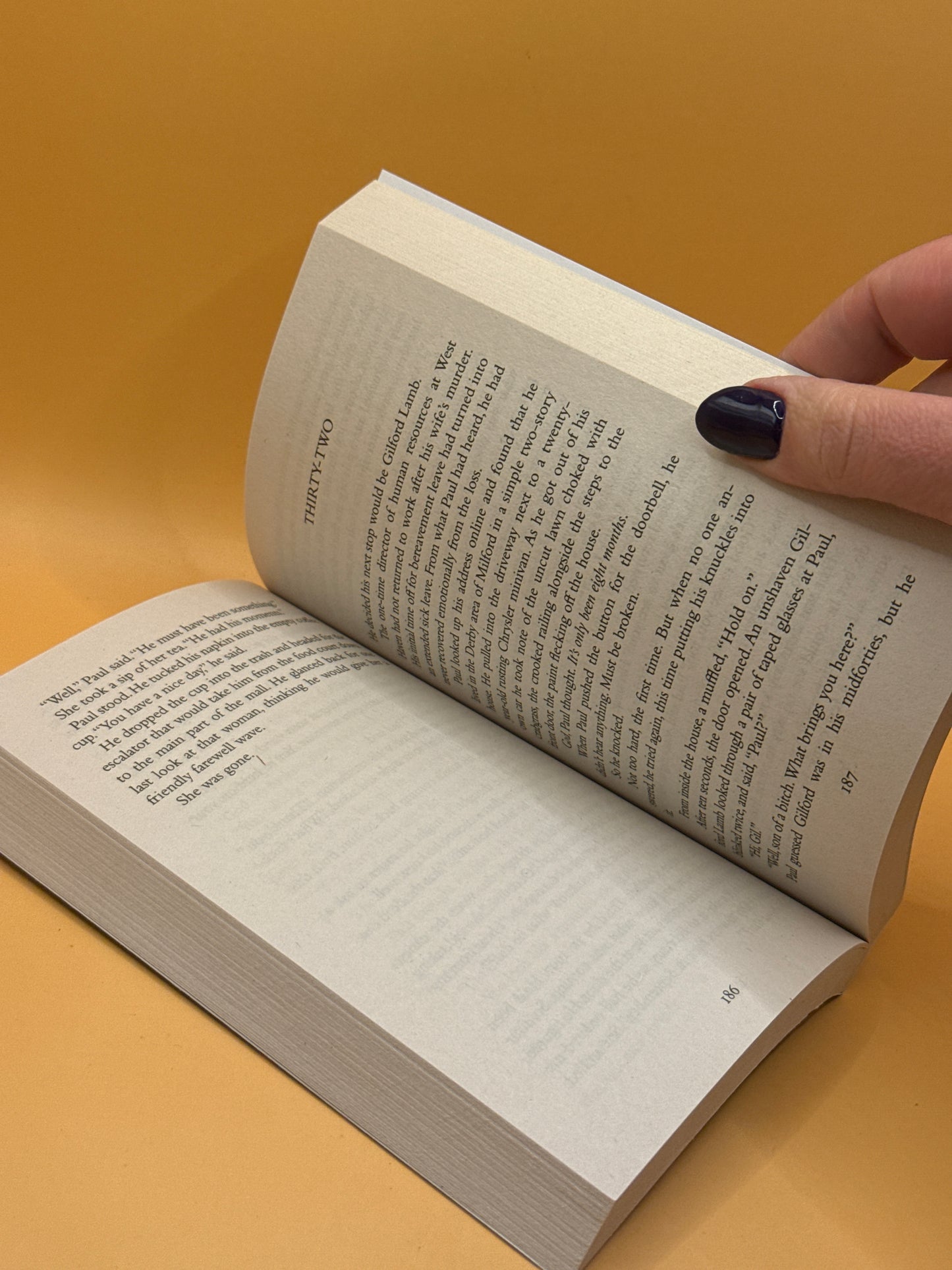 A Noise Downstairs by Linwood Barclay