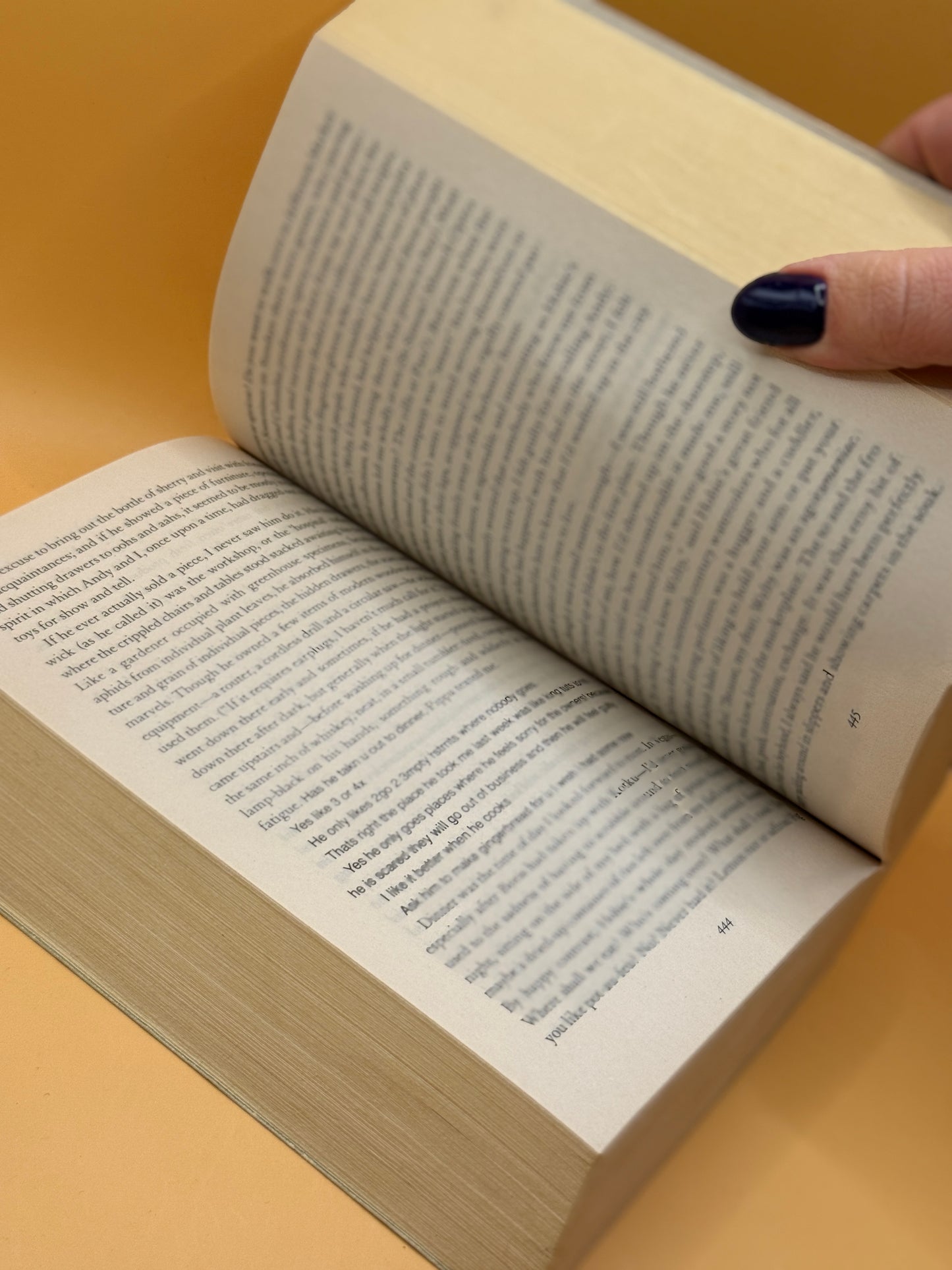 The Goldfinch by Donna Tartt