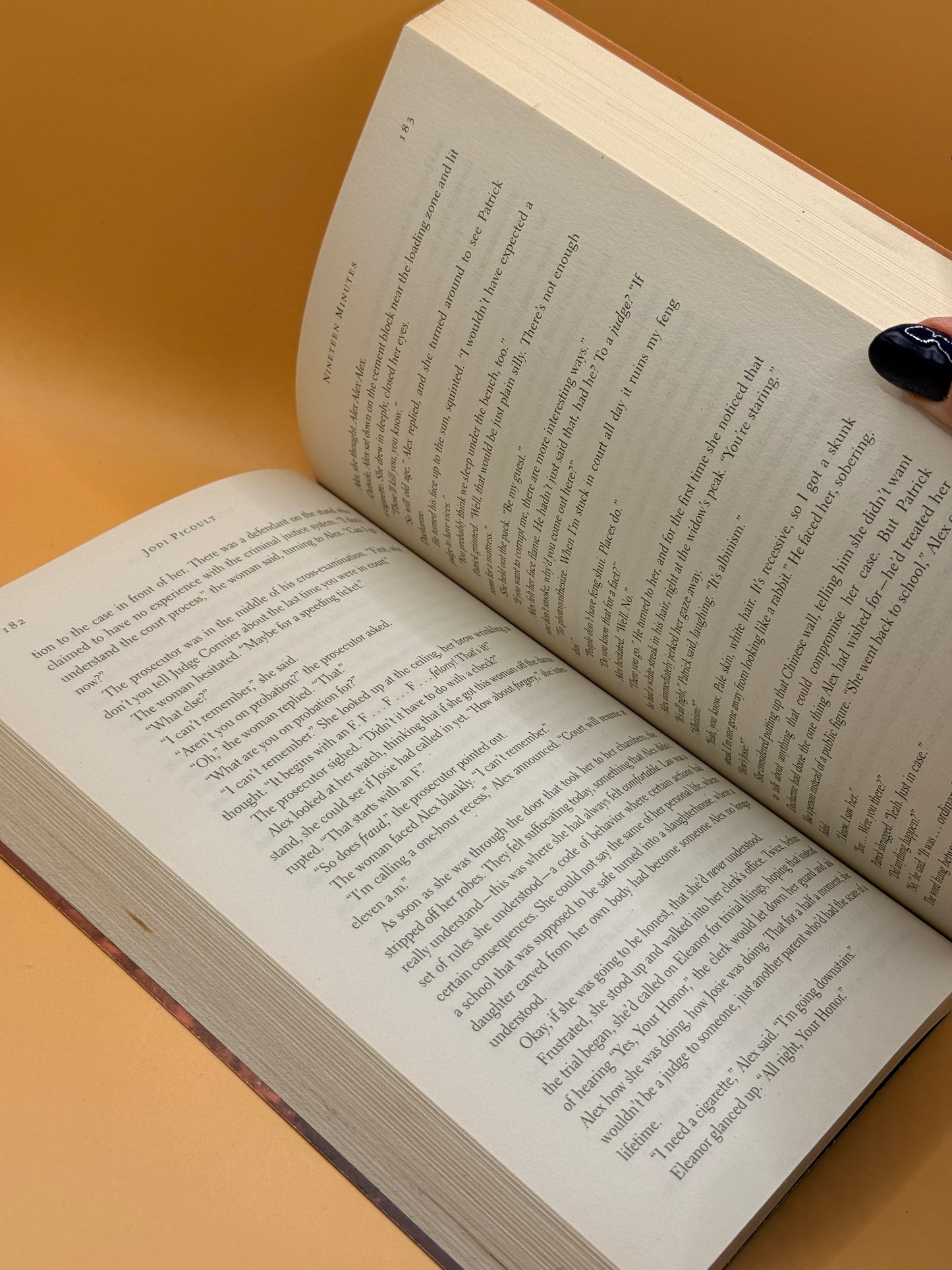 Nineteen Minutes by Jodi Picoult