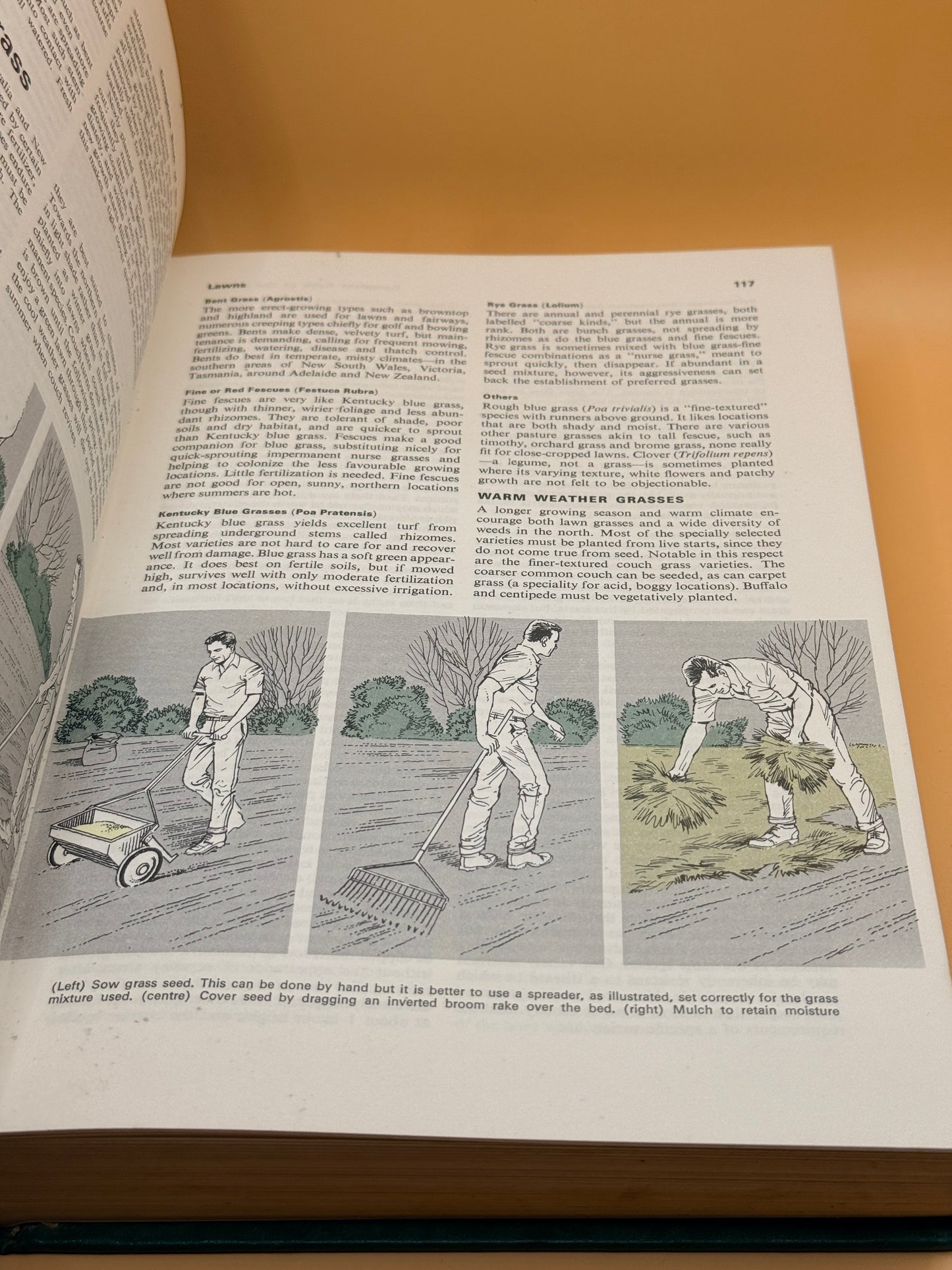 Reader's Digest Complete Book of the Garden by Reader's Digest (First Edition)
