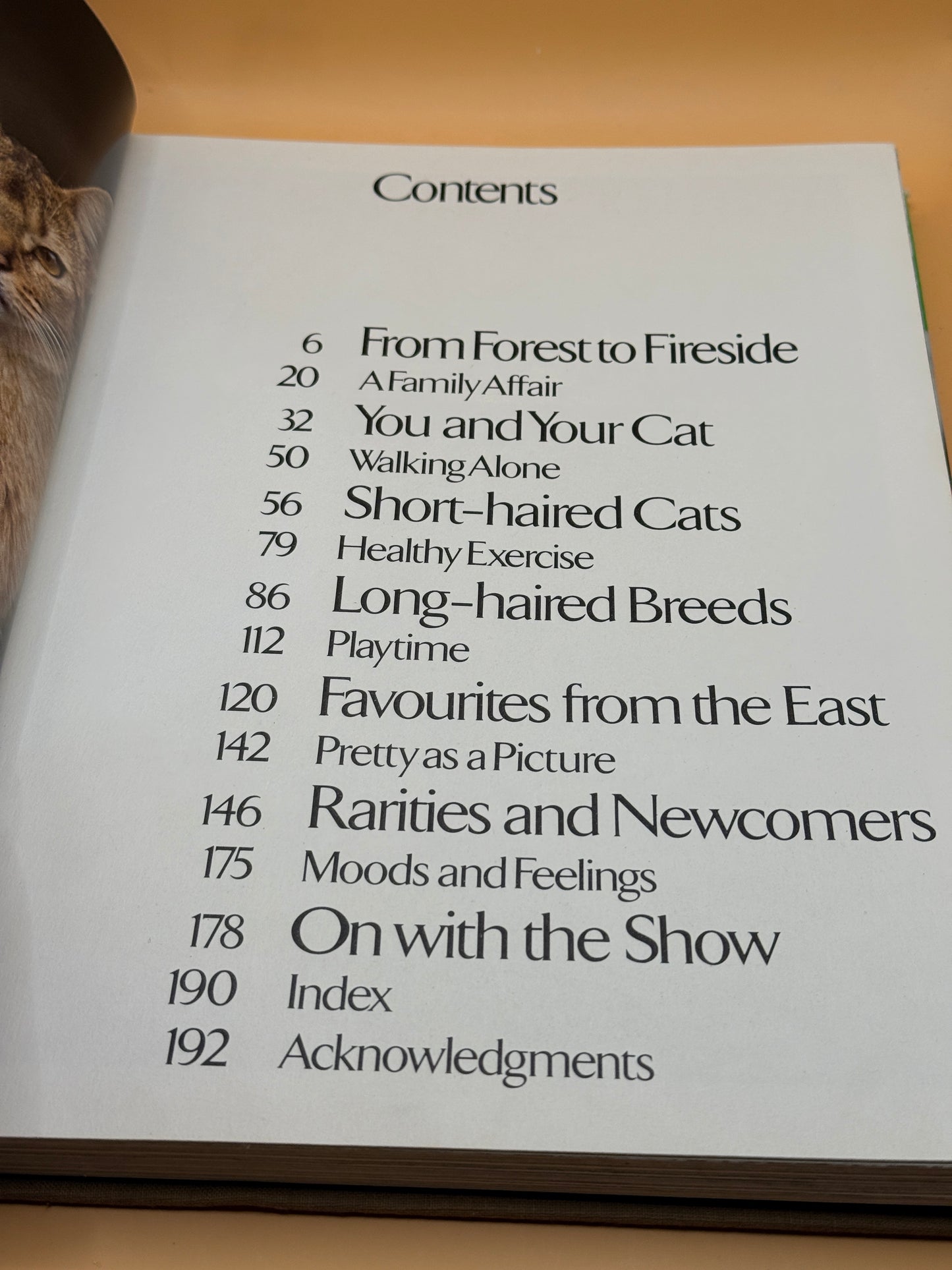 Beautiful Cats & Kittens by John Gilbert