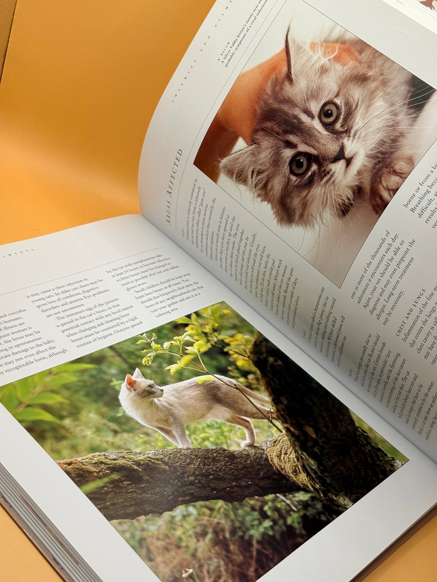 The Ultimate Encyclopedia of Cats, Cat Breeds & Cat Care by Alan Edwards