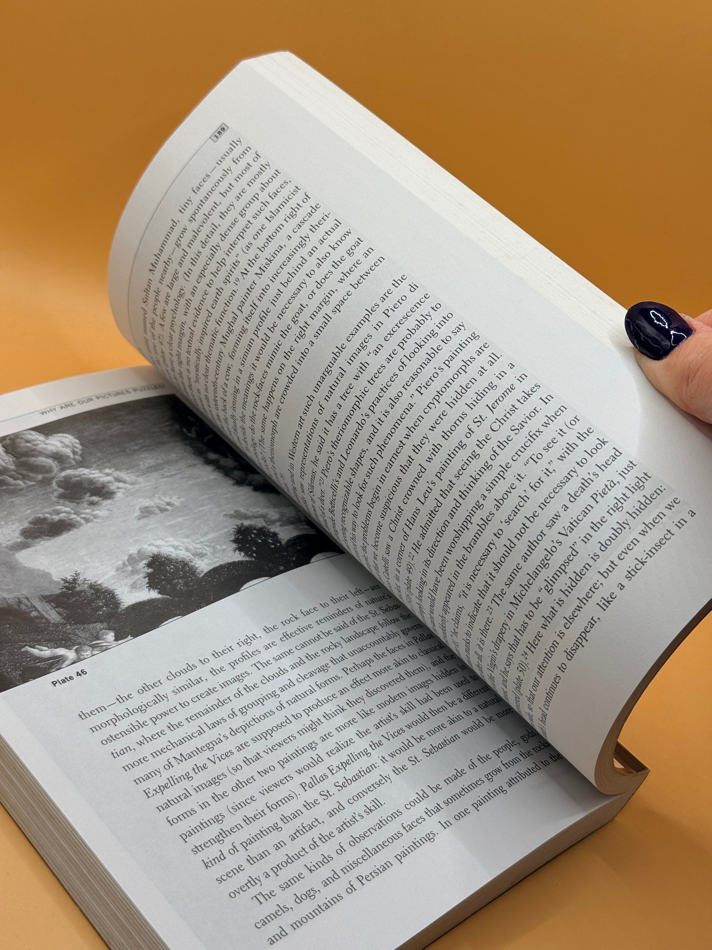 Why Are Our Pictures Puzzles? On the Modern Origins of Pictorial Complexity by James Elkins