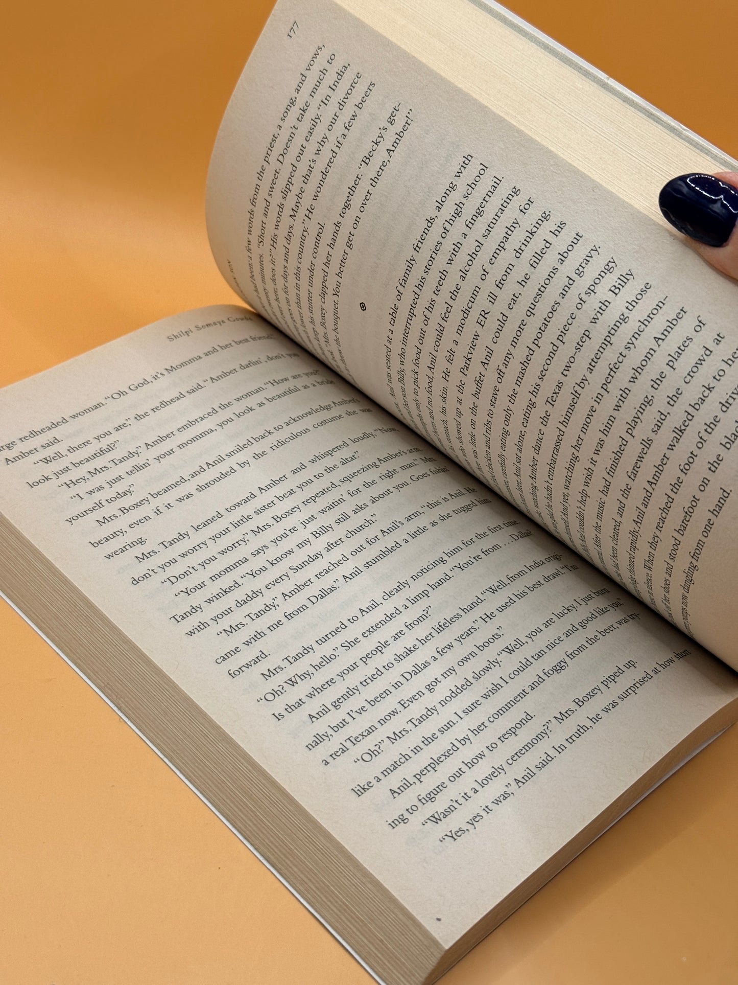 The Golden Son by Shilpi Somaya Gowda