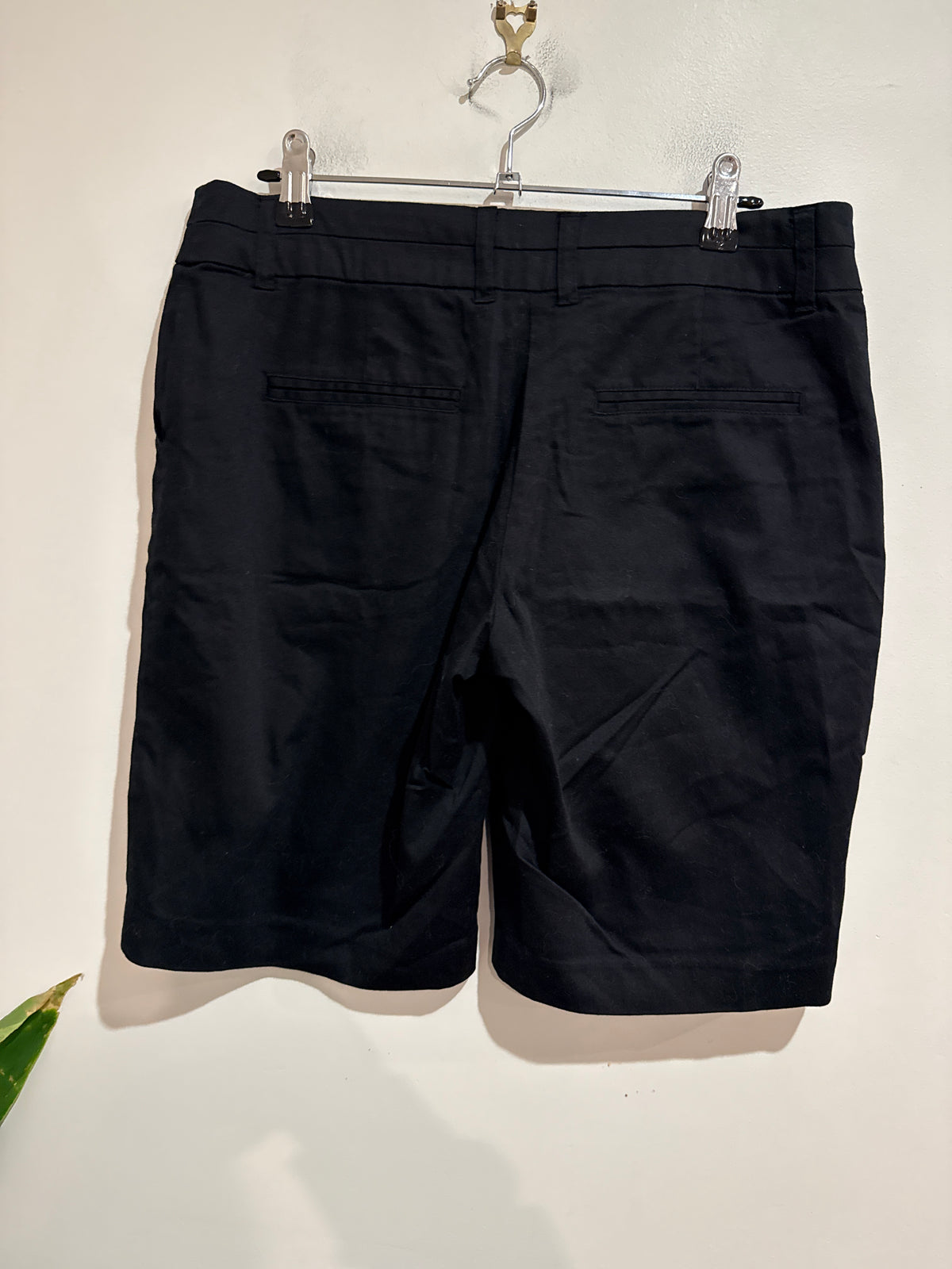 Glassons Size 10 Tailored Shorts