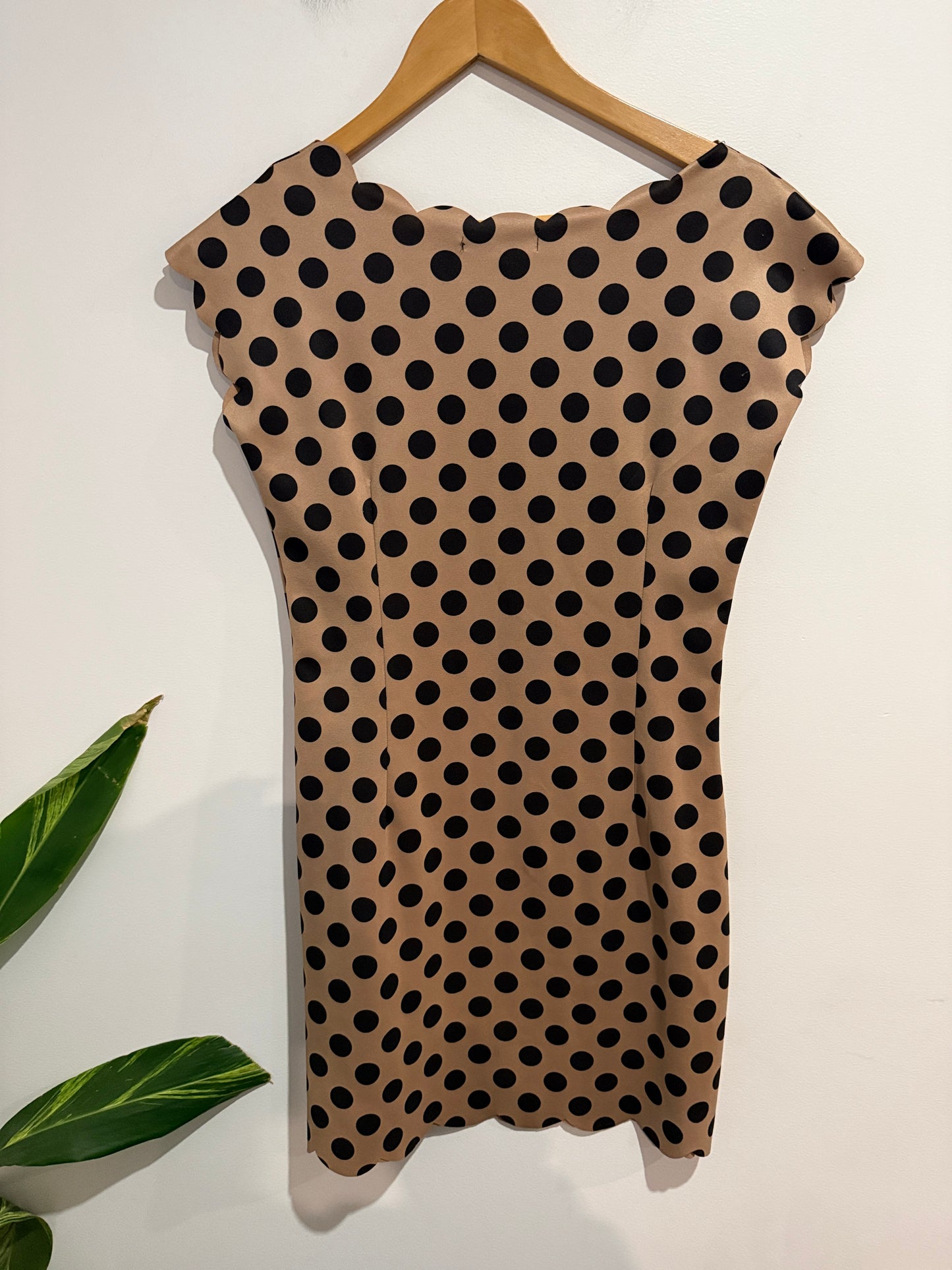 New York Laundry Cap-sleeve Shift Dress Size M | U/Arm to U/Arm 43cm