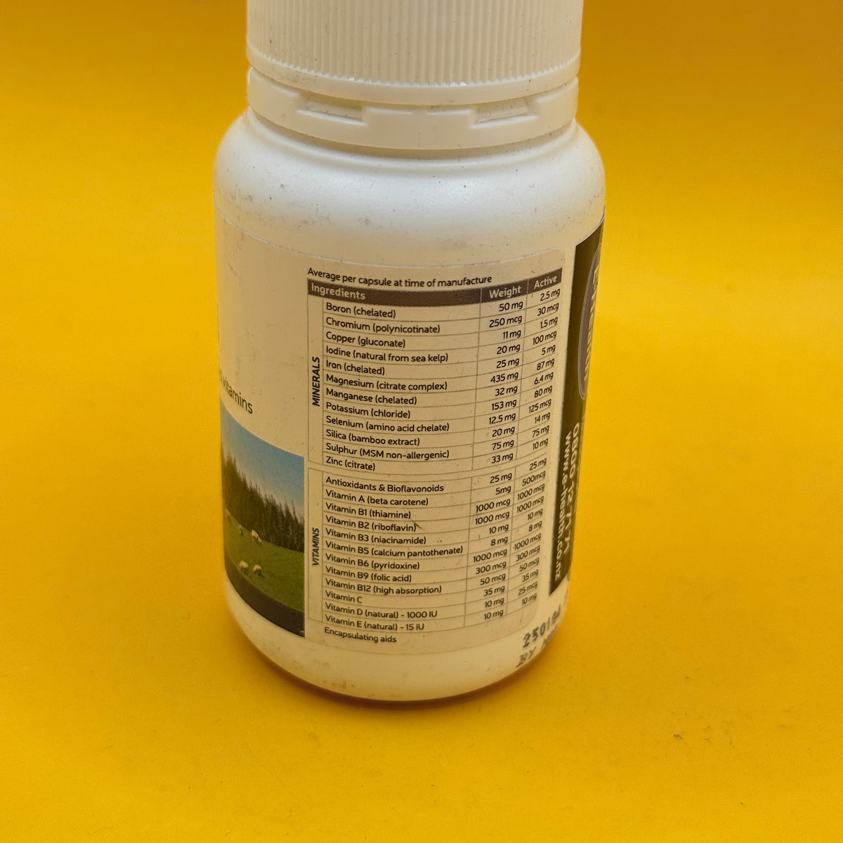 HealthHouse CAA-Multi Vitamins & Minerals 60 Capsules