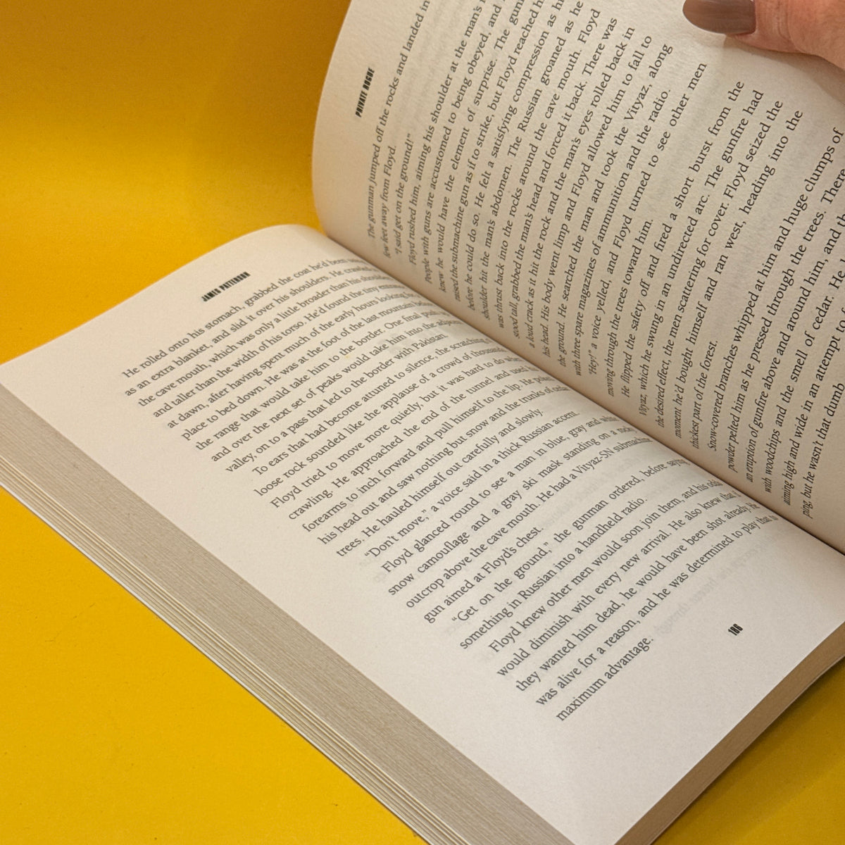 Private Rogue by James Patterson & Adam Hamdy