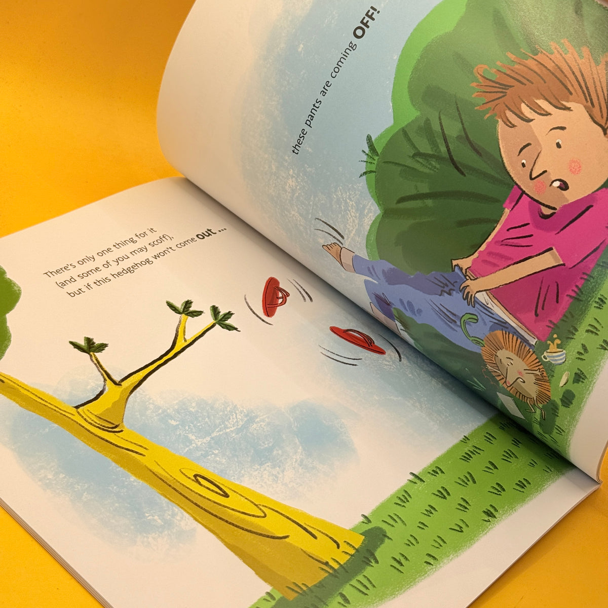 There’s a Hedgehog in My Pants! by Amy Harrop and Ross Kinnaird