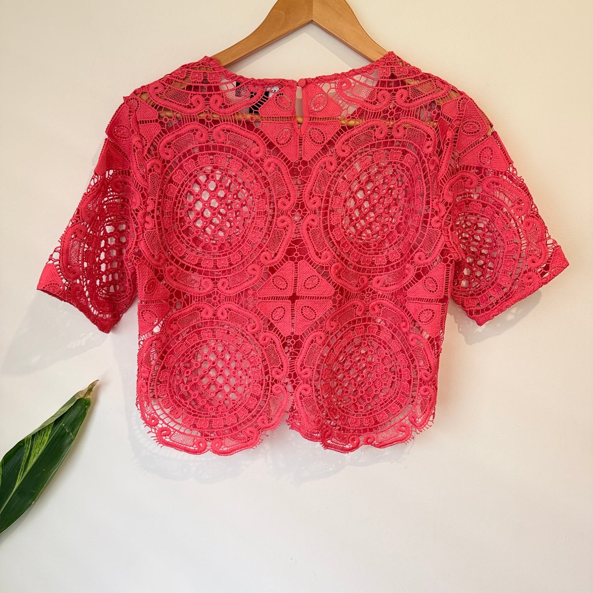 Stylestalker Coral Crochet Lace Crop Top Size S