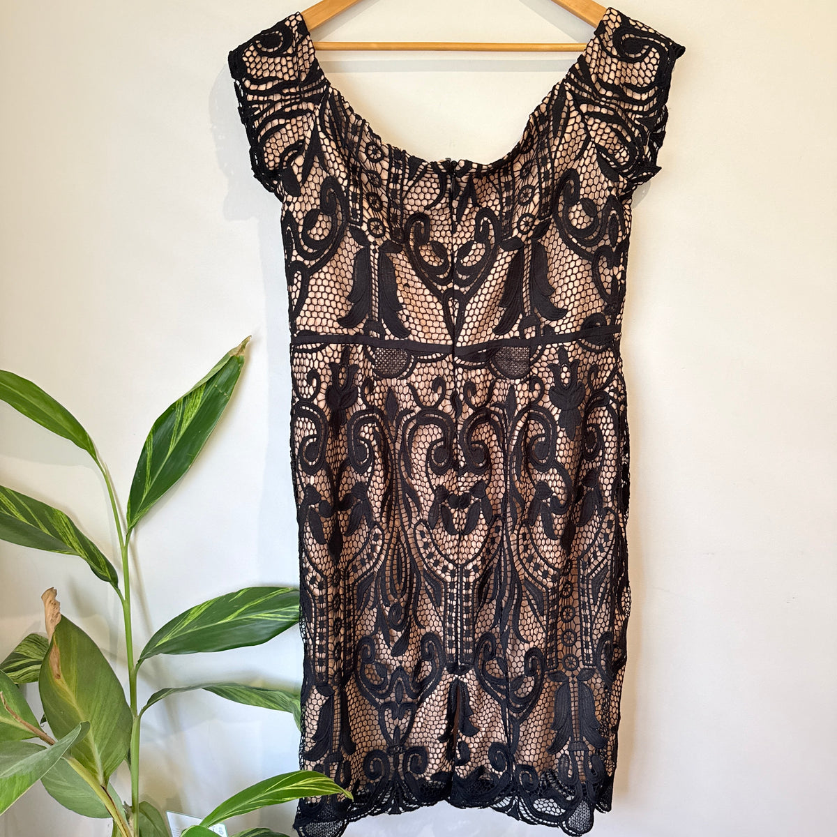 City Chic Black Lace Overlay Cap Sleeve Dress Size S (16)