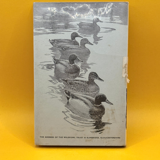 A Coloured Key to the Waterfowl of the World by Peter Scott (1968)