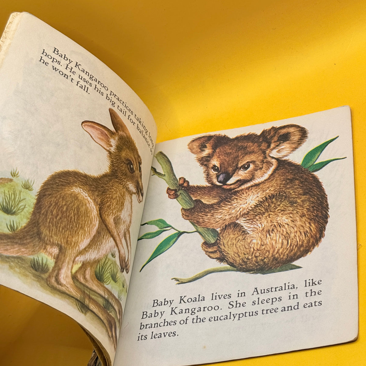 Vintage Golden Book: Baby Animals by Garth Williams (1979)