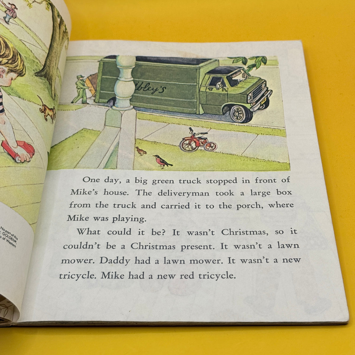 Vintage Golden Book - The New Baby by Ruth and Harold Shane (1975)