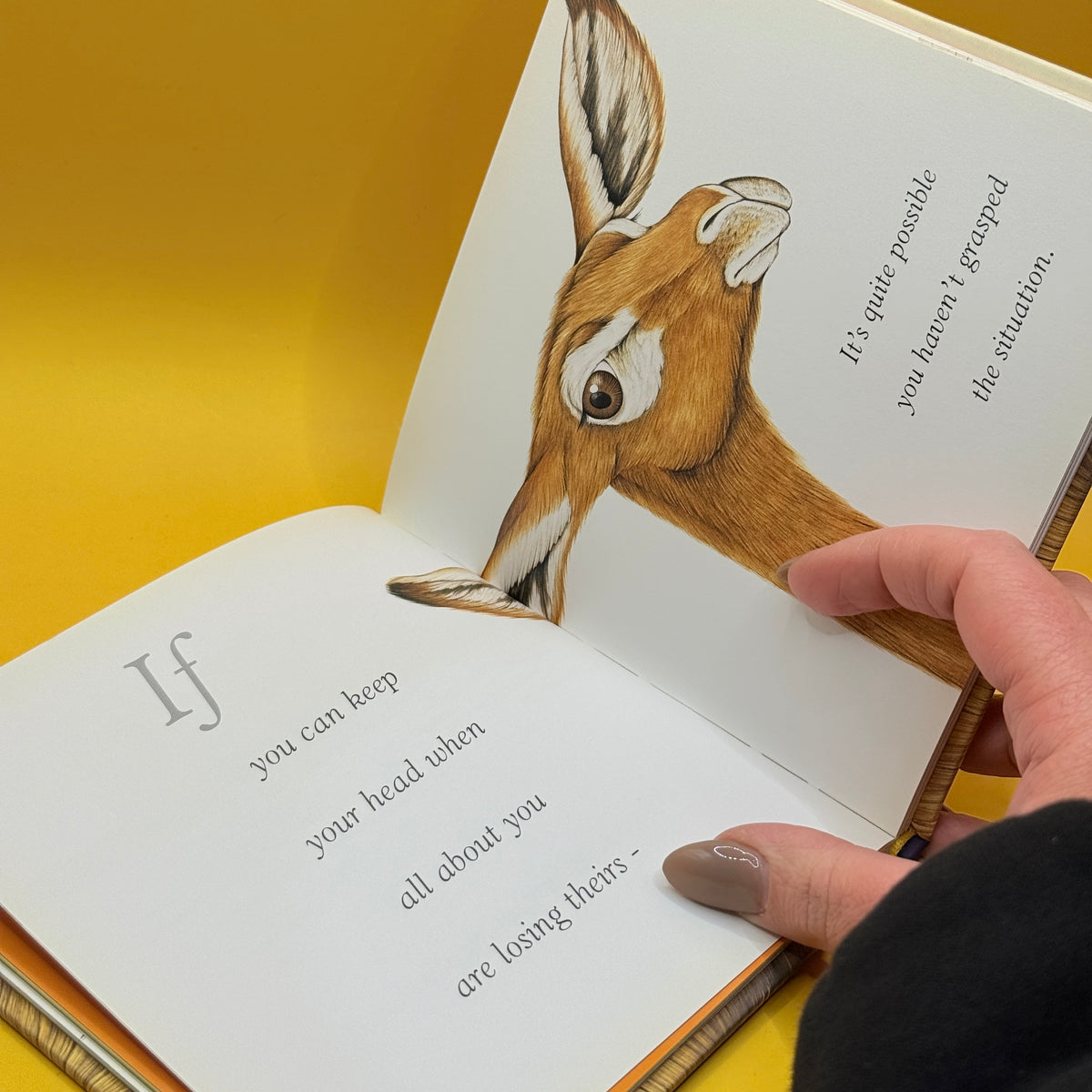Furry Logic: A Guide to Life's Little Challenges by Jane Seabrook
