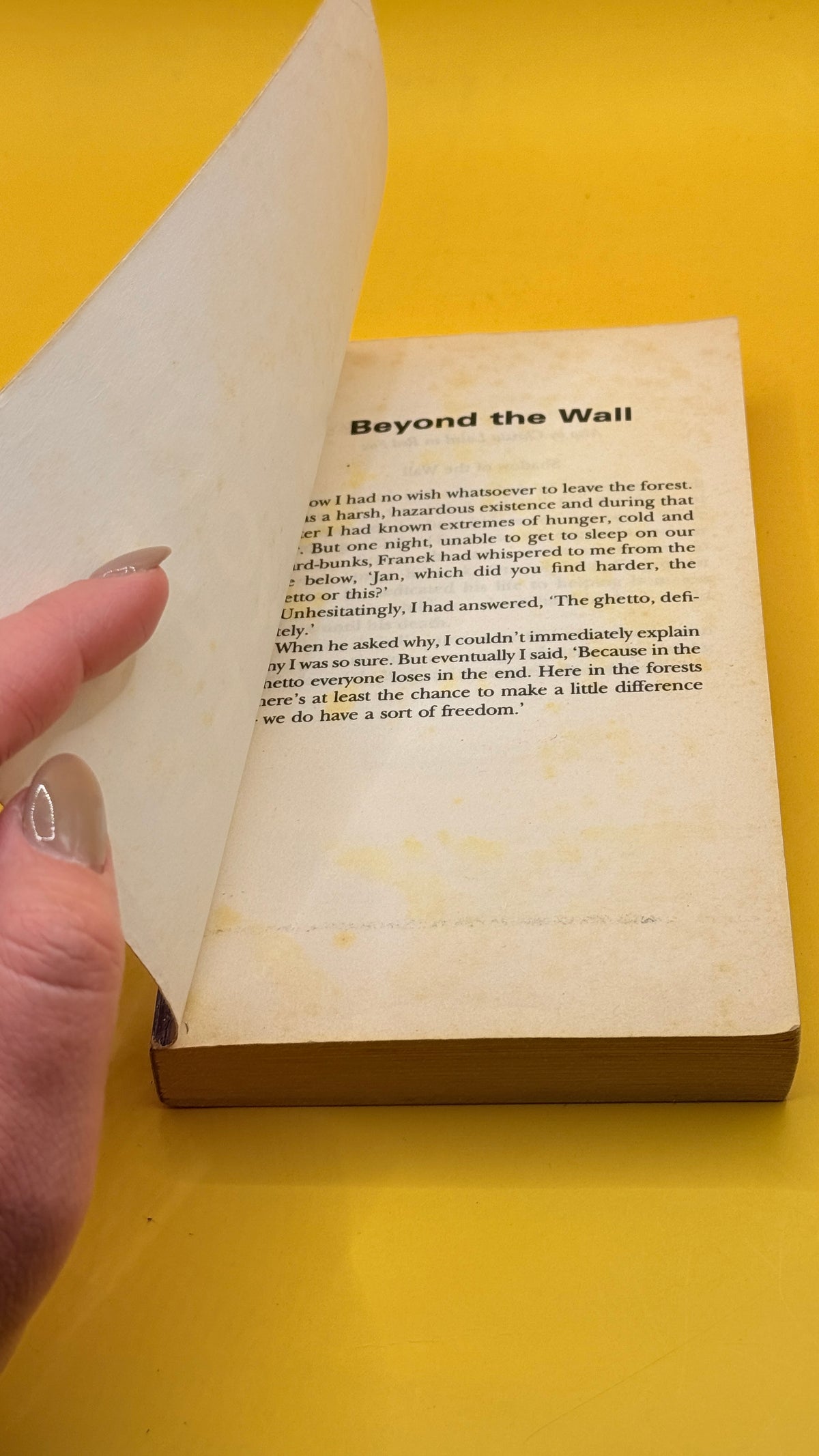 Beyond the Wall by Christa Laird