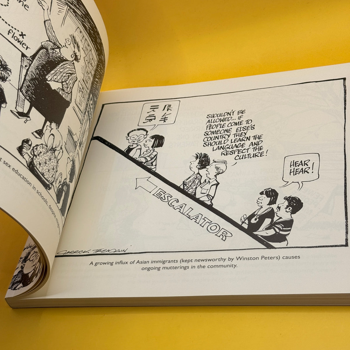 20 Years of Garrick Tremain: Politics from the Pen of a Leading Cartoonist by Garrick Tremain