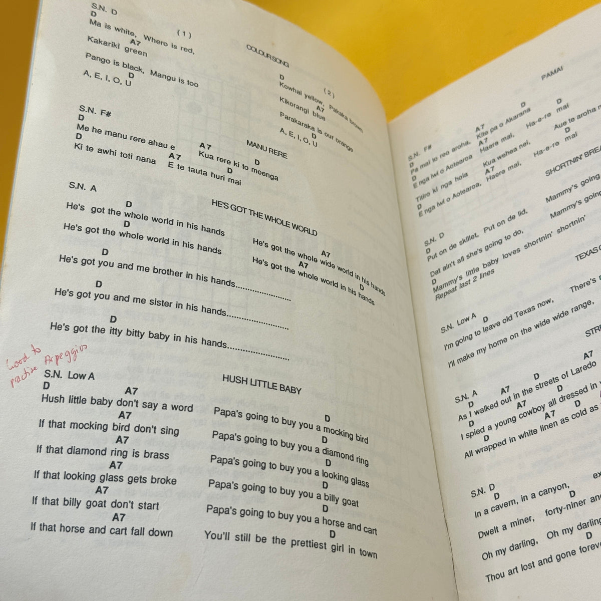 Songs for Beginner Guitar (NZ) by Various Contributors