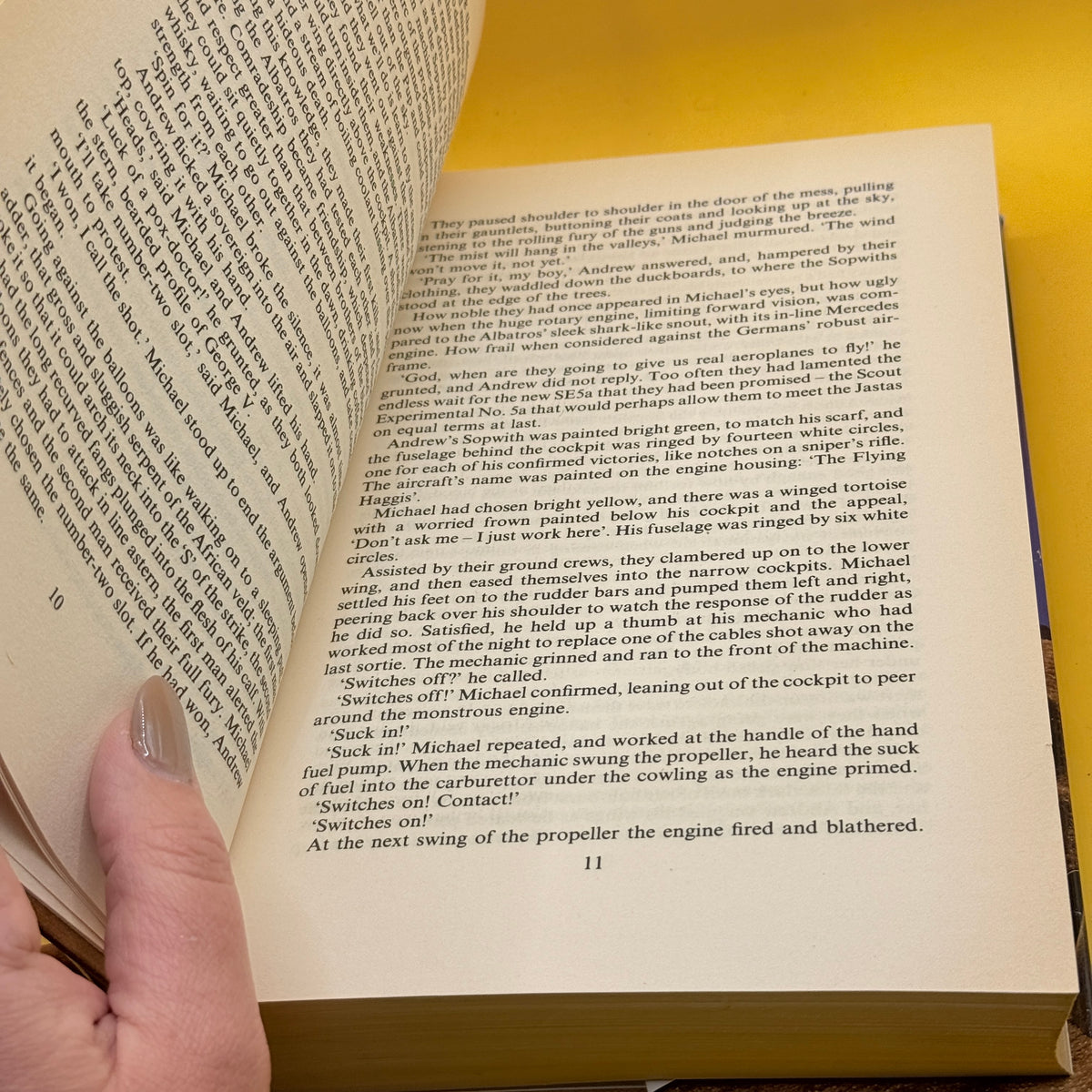 The Burning Shore by Wilbur Smith (1985)