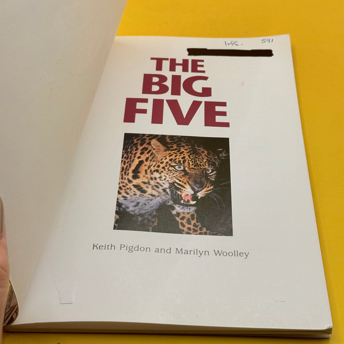 The Big Five by Westmount Wildlife Campus