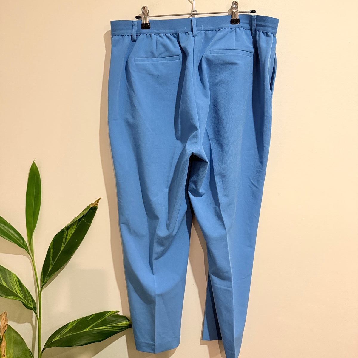 Suzanne Grae Elastic Waist Pants Size 14