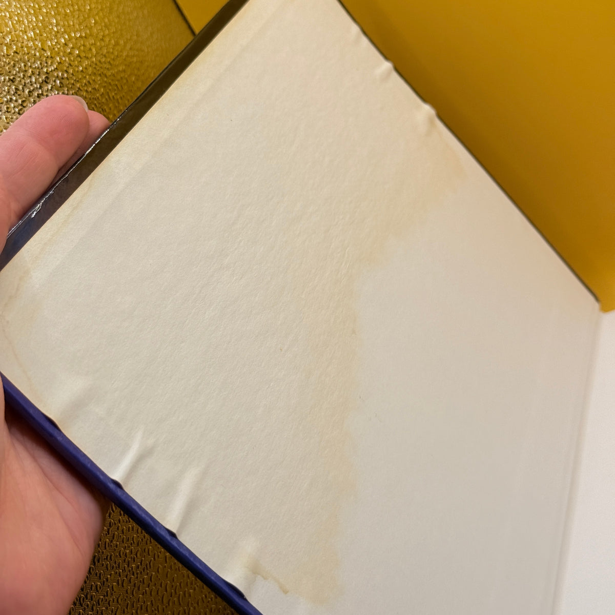 Neuroscience: Exploring the Brain by Mark F. Bear, Barry W. Connors and Michael A. Paradiso