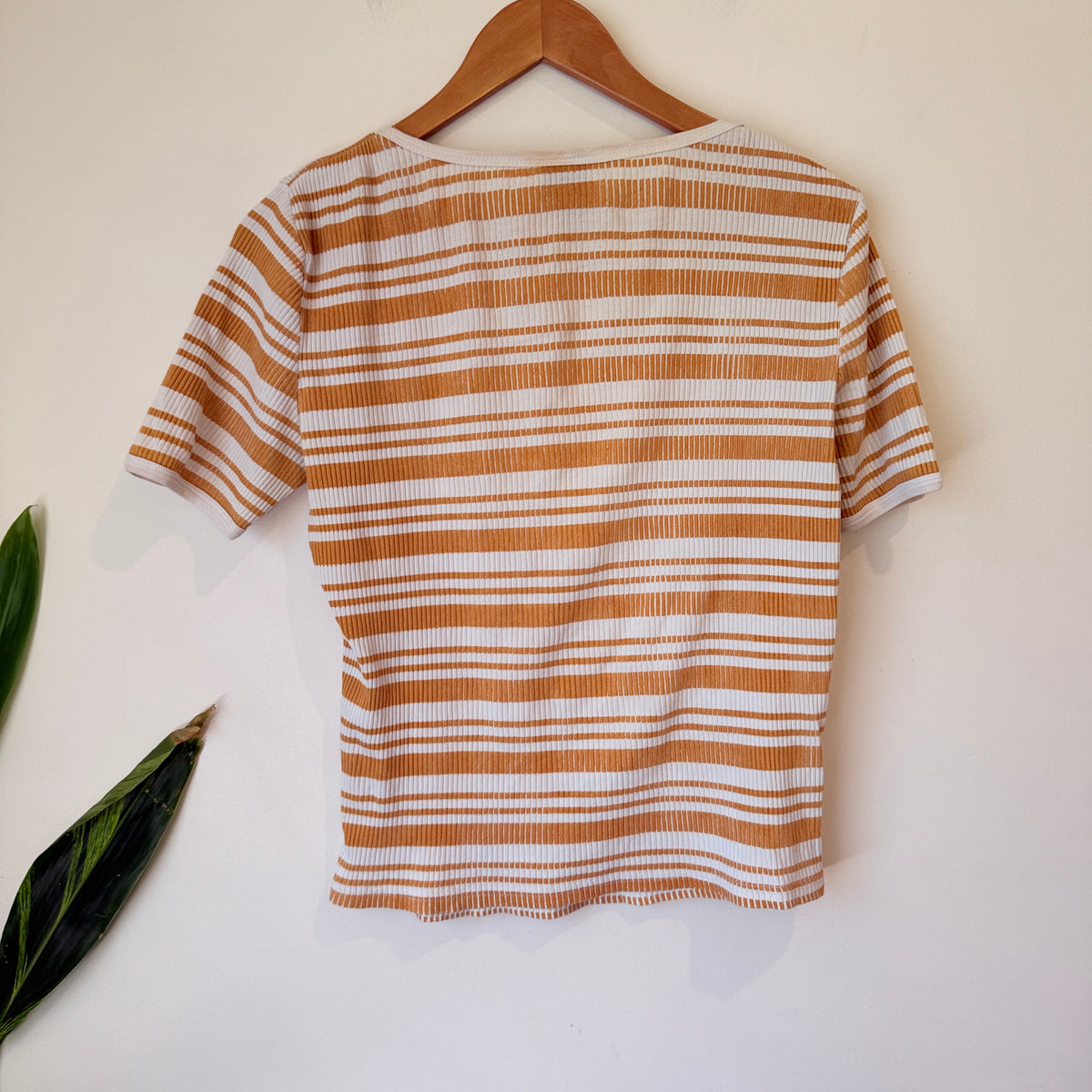 Santa Cruz Mustard and White Striped Ribbed Tee Size 12