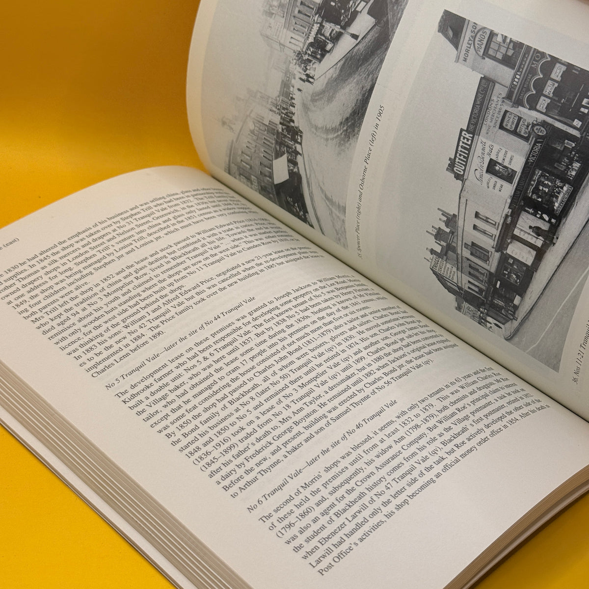 Blackheath Village & Environs 1790–1990, Volume 1: The Village and Blackheath Vale by Neil Rhind