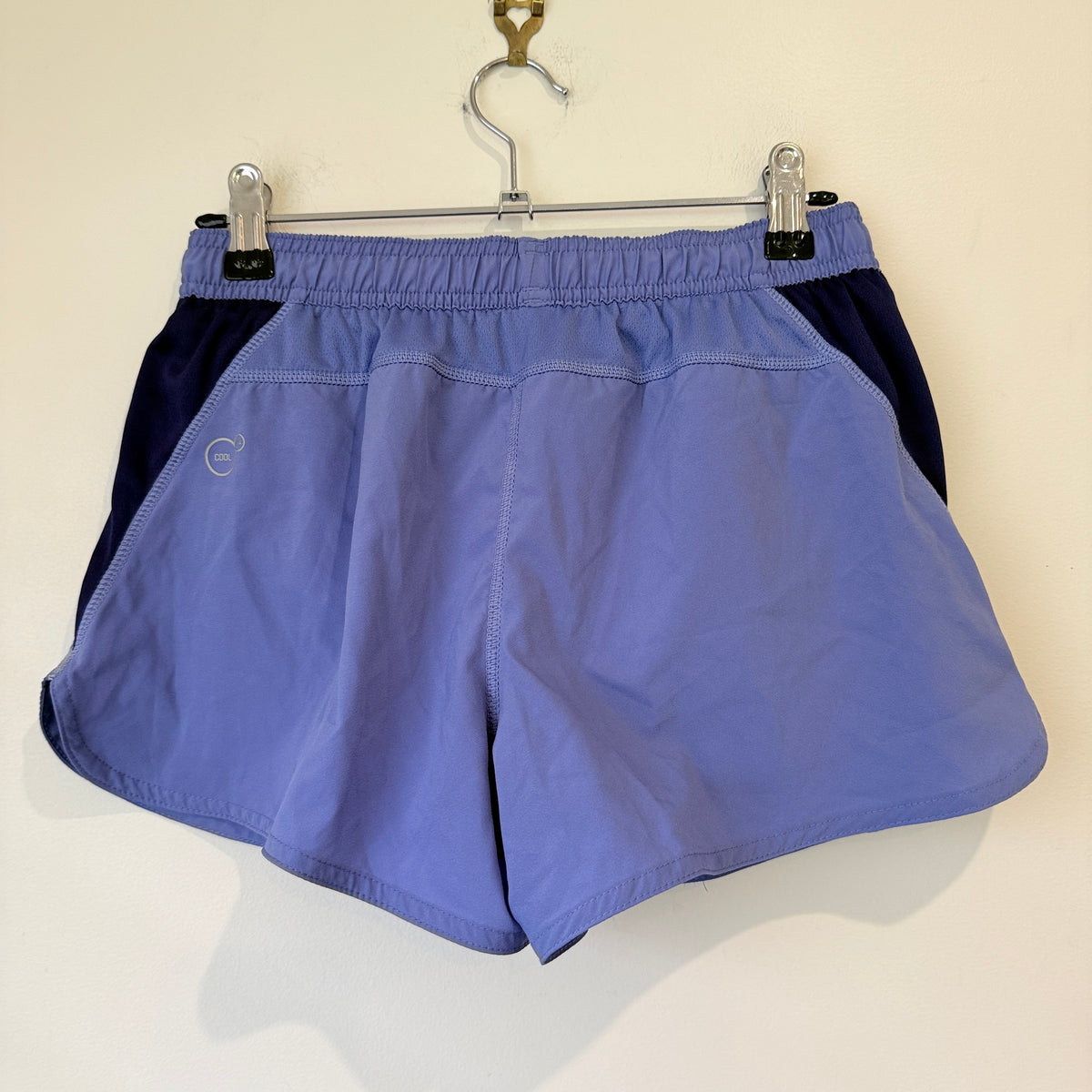 Puma Periwinkle Running Shorts Size XS