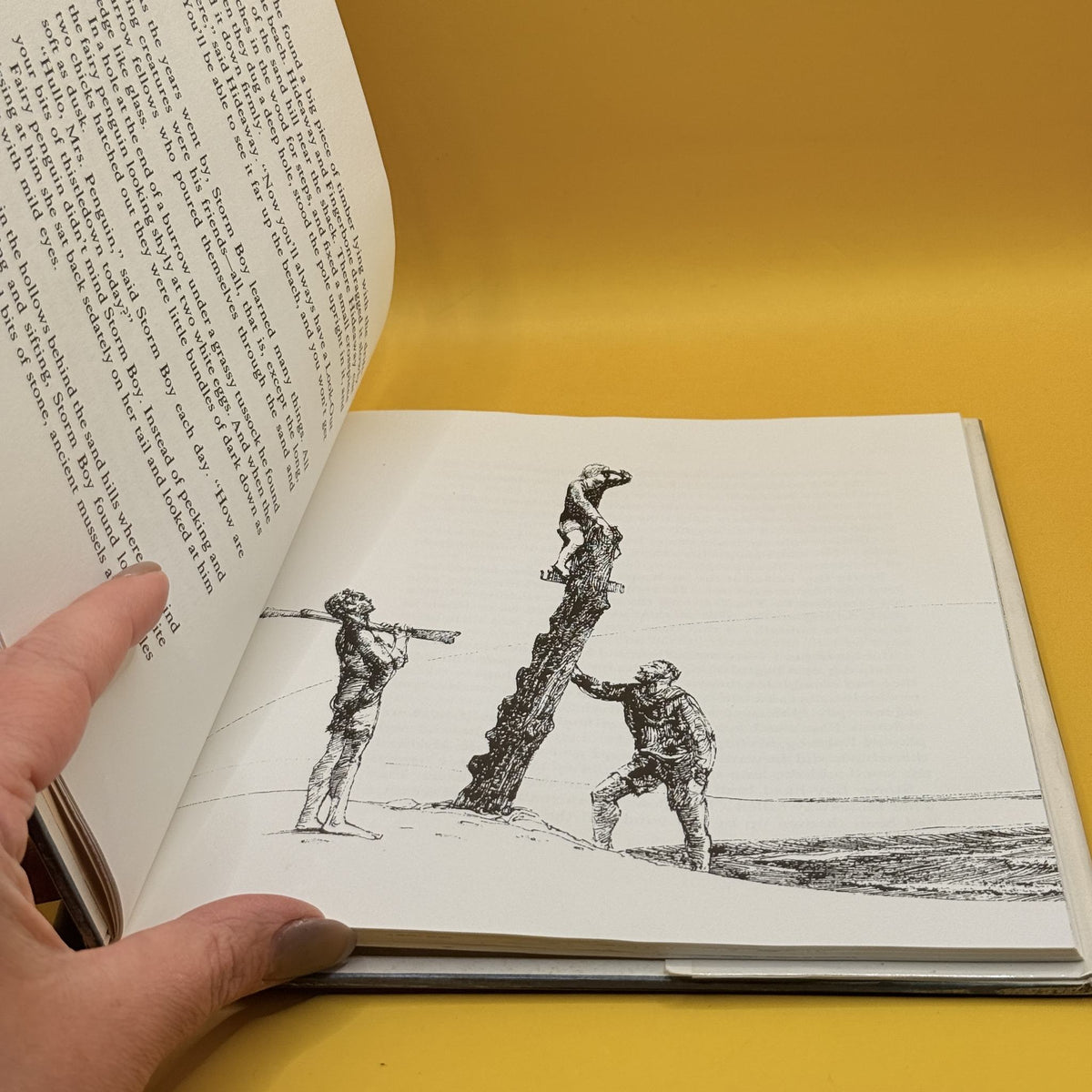 Storm Boy by Colin Thiele 1978