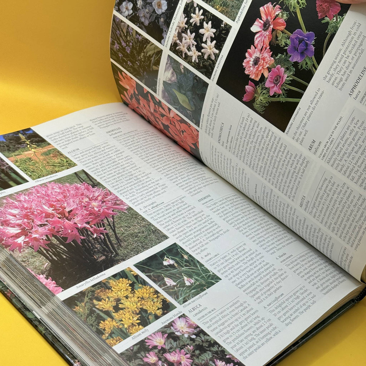The Ultimate New Zealand Gardening Book by Geoff Bryant