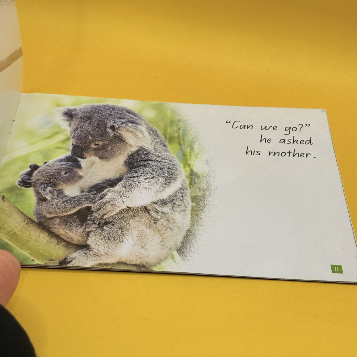 Koala’s Big Day by Rebecca Johnson