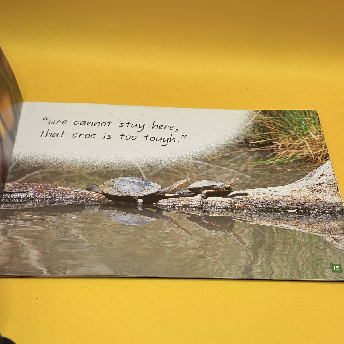 Cranky Crocodile by Rebecca Johnson