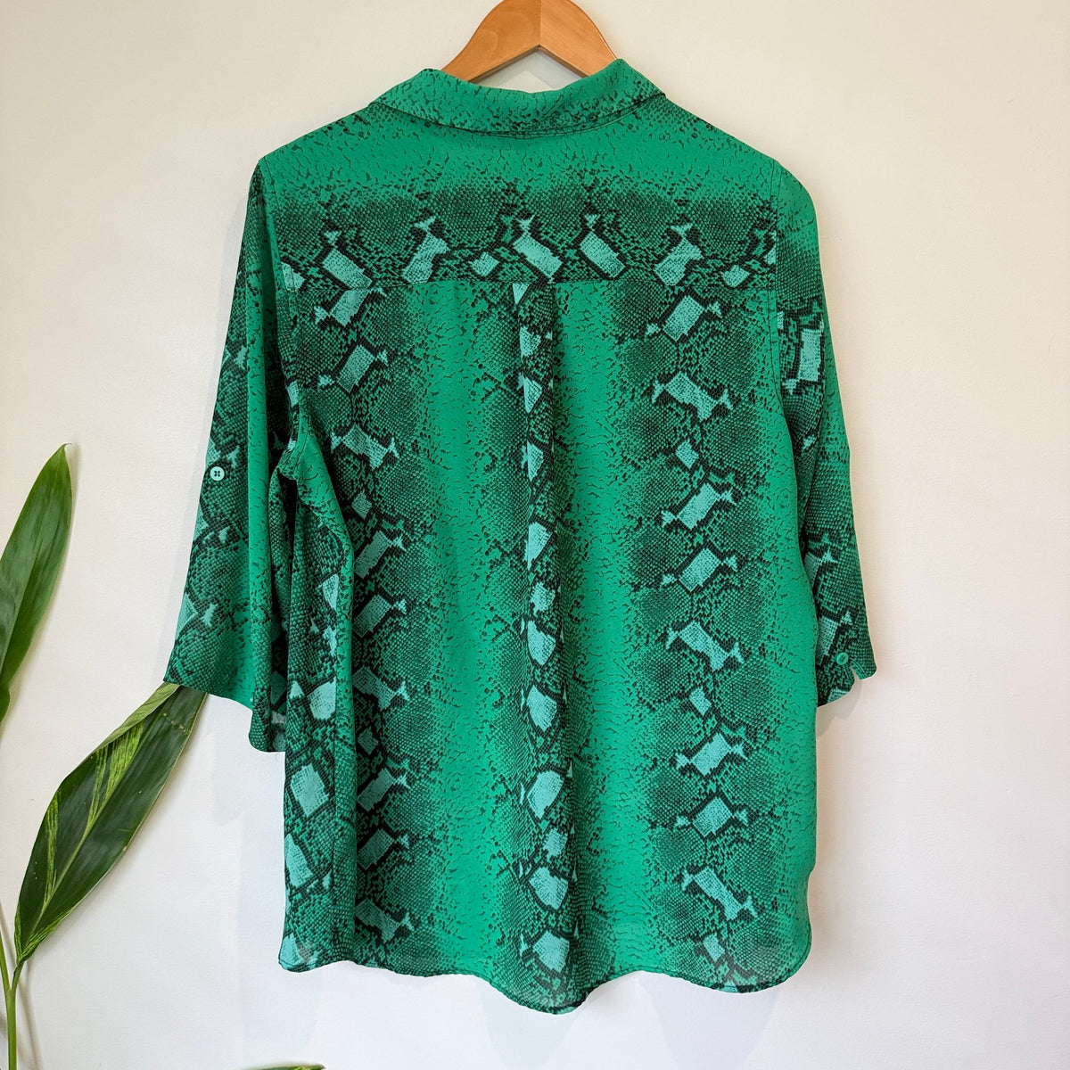 Suzanne Grae Green Snake Print 3/4 Sleeve Shirt Size 14