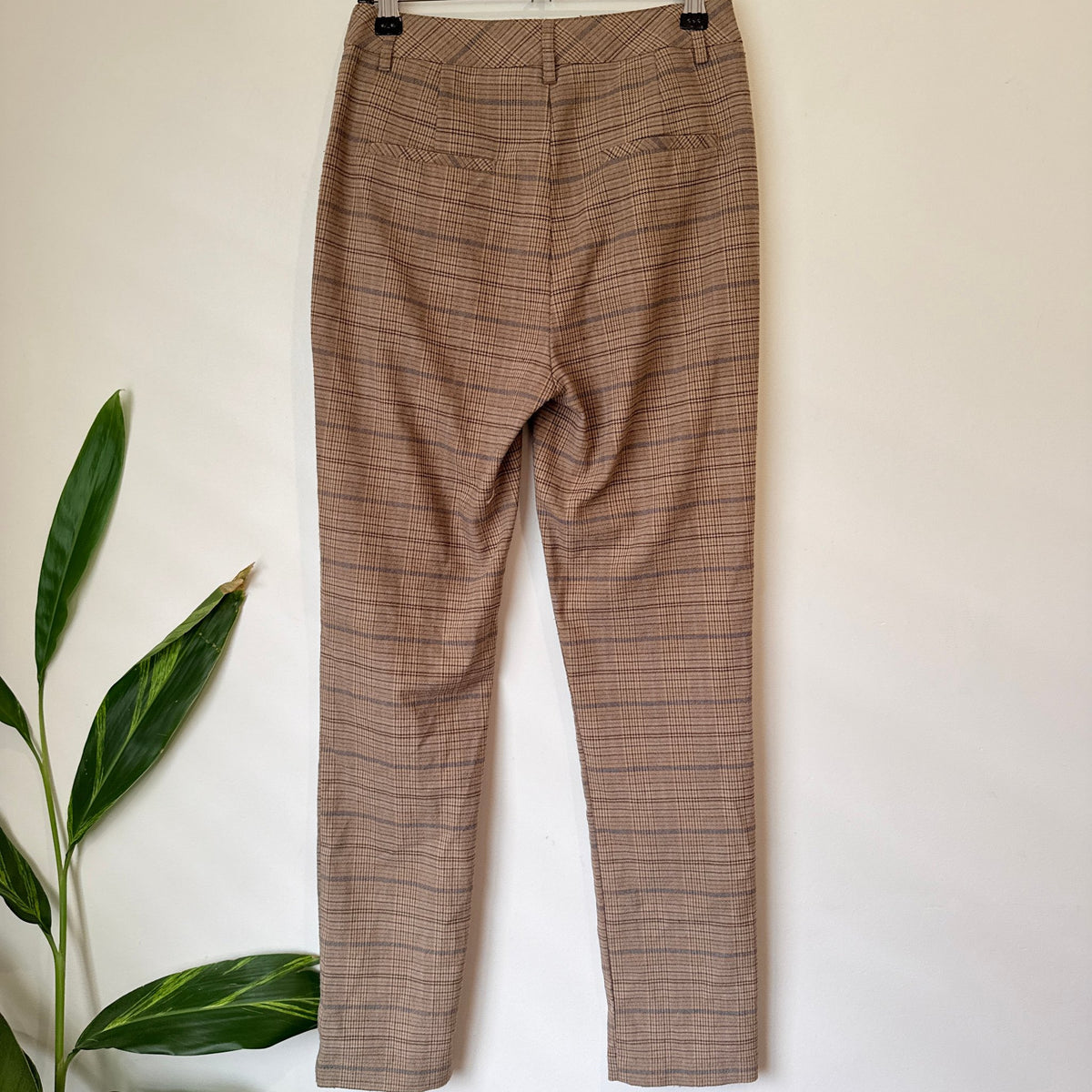 Glassons Tan Check Tailored Pants Size 6