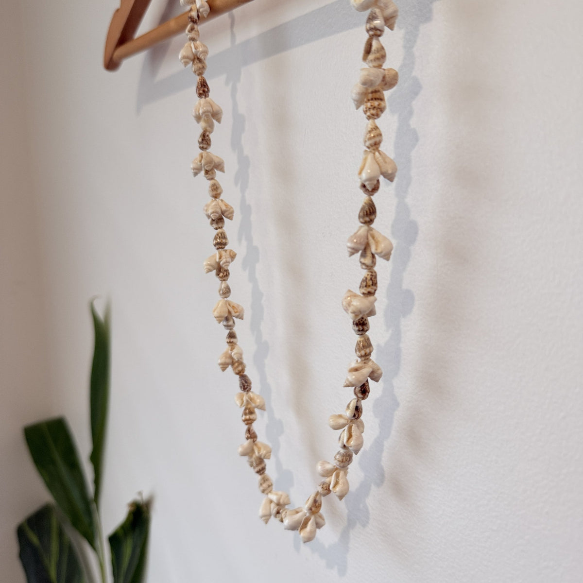 Cream Cowrie Shell Long Necklace