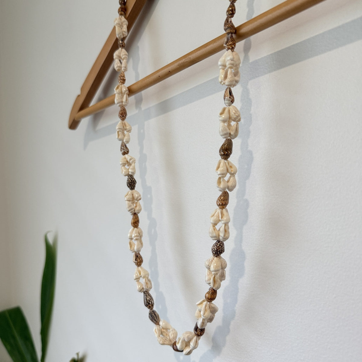 Cream & Brown Shell Long Necklace