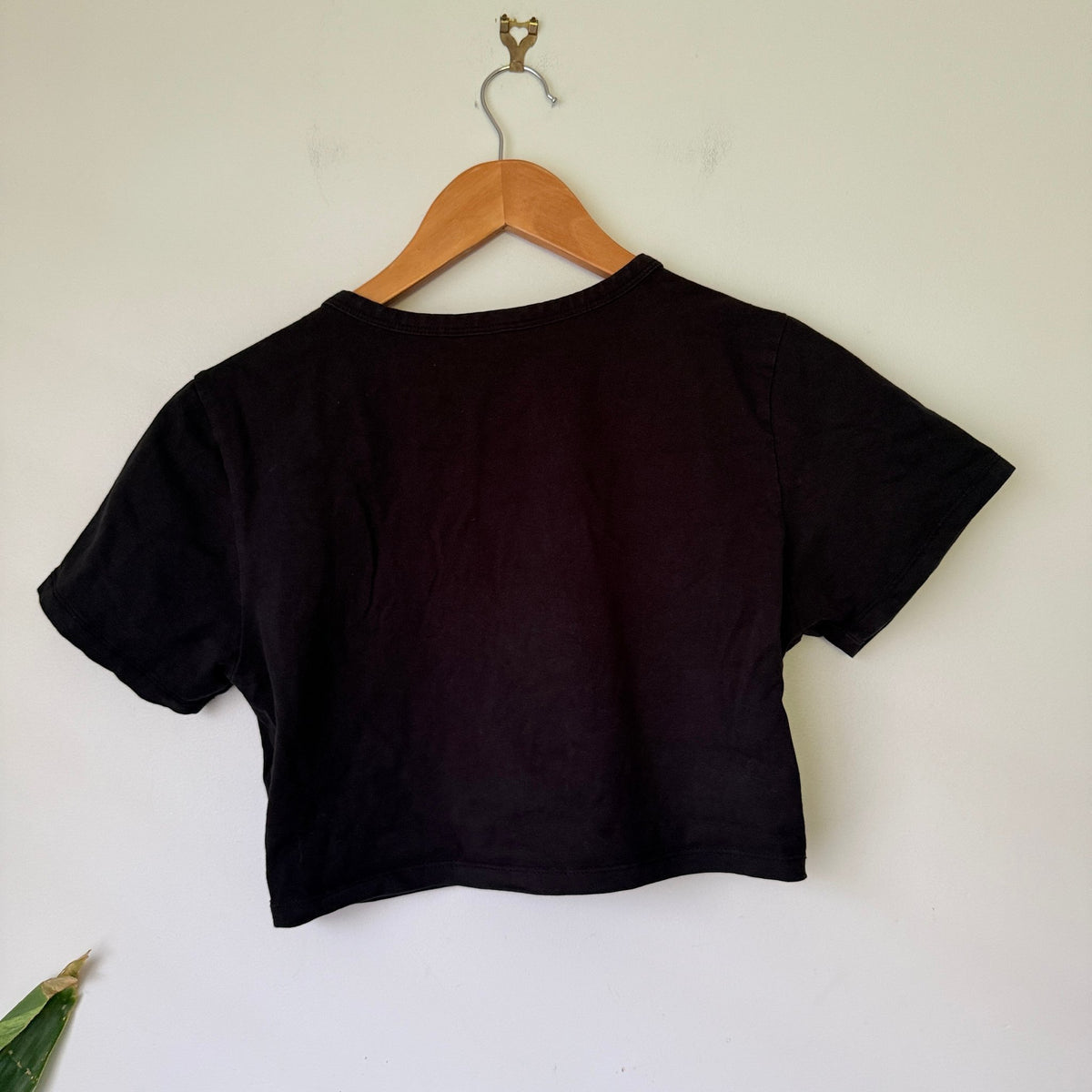 Glassons Crewneck Crop Top Size XL