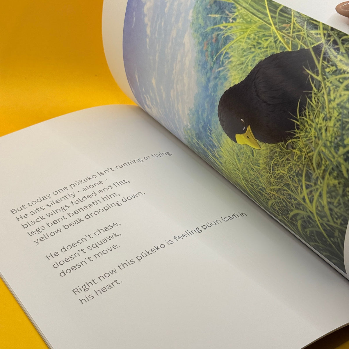 Rehutai and the Pōuri Pūkeko by Pearl Wilson