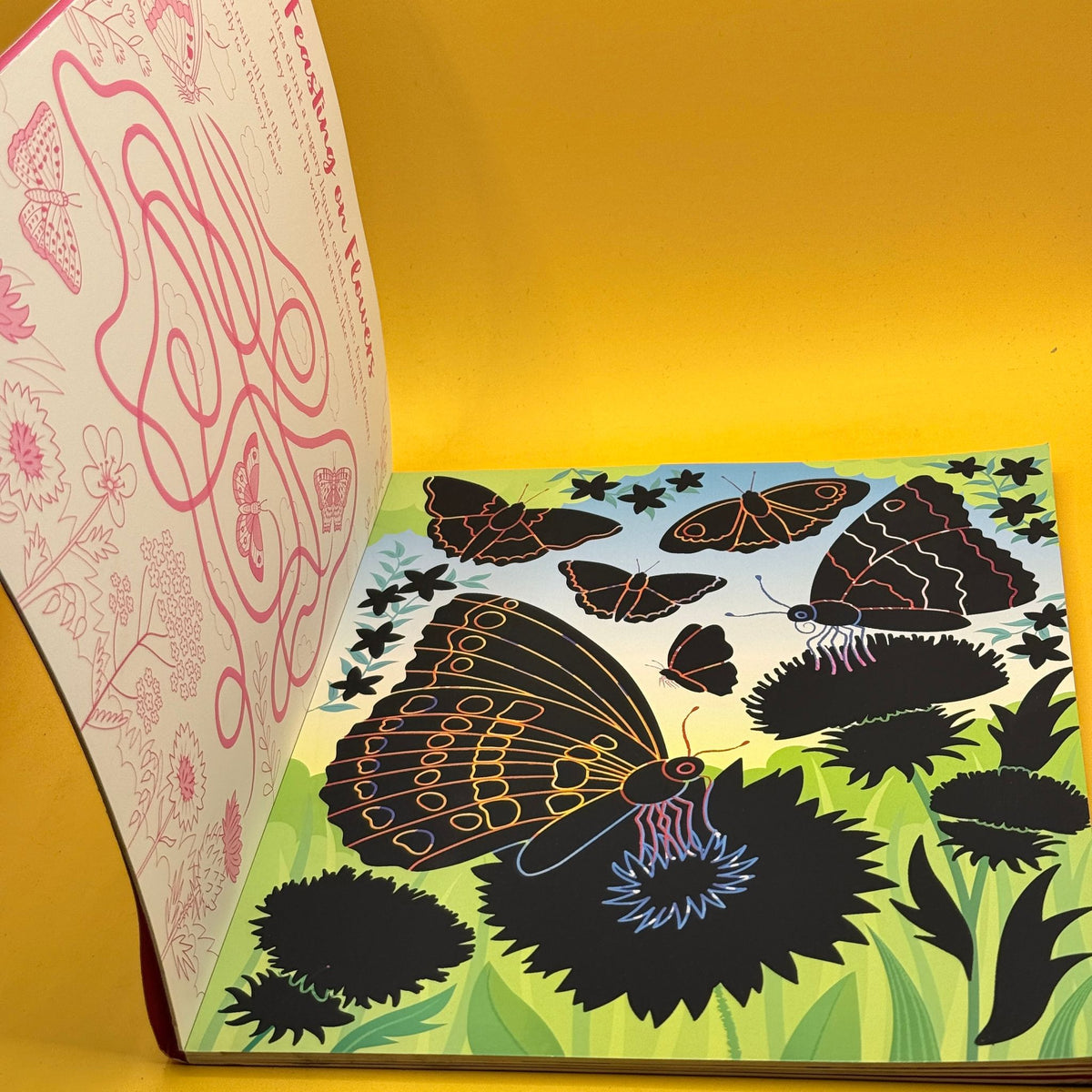 Usborne Scratch Activities: Butterflies by Sam Baer