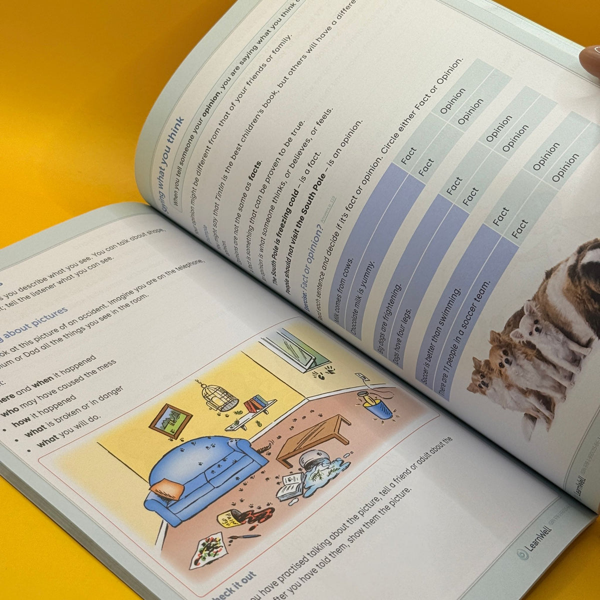 Start Right Year 4 English Workbook by Raymond Huber