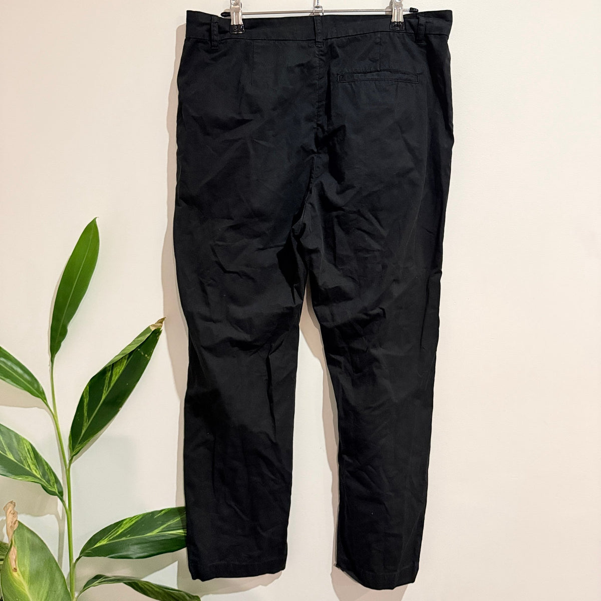 Assembly Label Black Cotton Chino Pants Size 32
